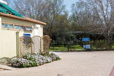 Ionion Beach Camping