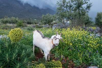 Wanderung bei Nikandreio