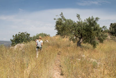wandernd durch Gegend bei Mykene